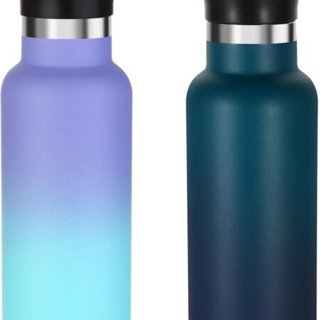 17oz Insulated Water Bottle Bulk 2 Pack,Stainless Steel Kids Water Bottles with Straw Lid,Double Wall Vacuum Metal Water Flask,Reusable Sports School Cups Keep Hot & Cold (Assorted,2 Set)