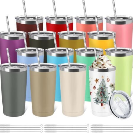 Stainless Steel Insulated Tumbler Set, 20oz Vacuum Insulated Travel Mug